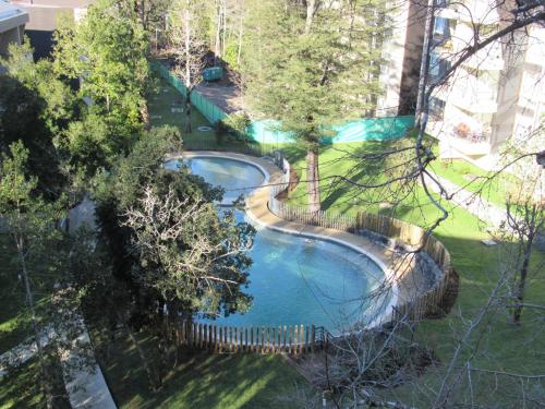 Φωτογραφία από το άλμπουμ του Departamento en Pucon σε Pucon