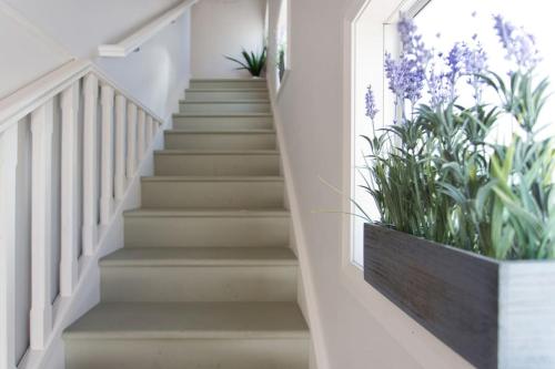 a staircase with plants in a window box at Fremantle Local Beach Studio in Fremantle