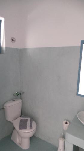 a bathroom with a white toilet and a sink at Delfini Hotel in Skala