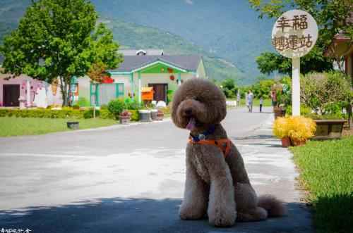 a brown teddy bear sitting on a sidewalk at XinFu Traveler Inn in Taiping
