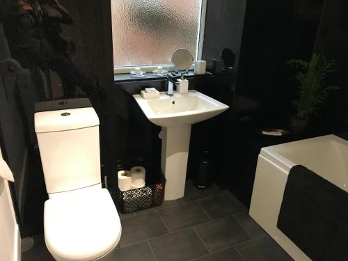 a bathroom with a white toilet and a sink at In House Garden Flat in Castle Douglas