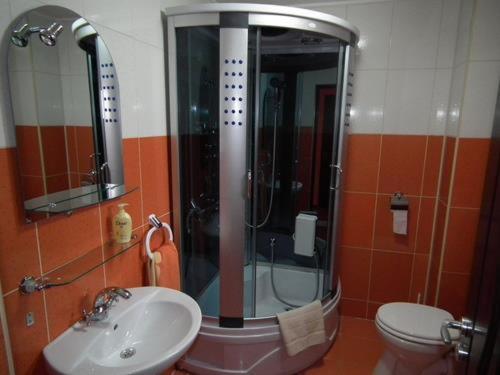 a bathroom with a shower and a sink and a toilet at La Gabi in Azuga
