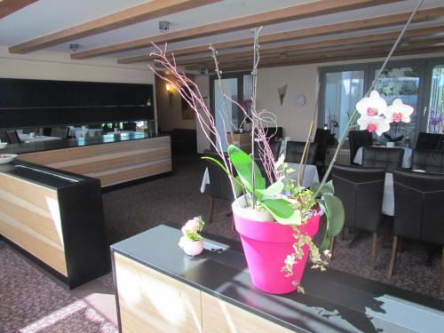 a living room with a potted plant on a table at Hotel Lutter in Munich