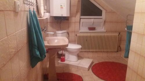 a small bathroom with a sink and a toilet at Ubytovanie na Spiši in Spišské Vlachy