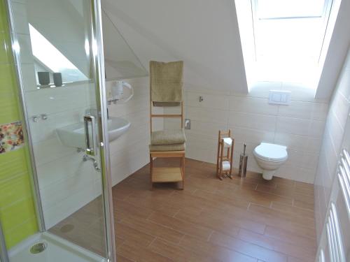 a bathroom with a shower and a toilet at Ferienwohnungen Haus Sebastian in Kurort Oberwiesenthal