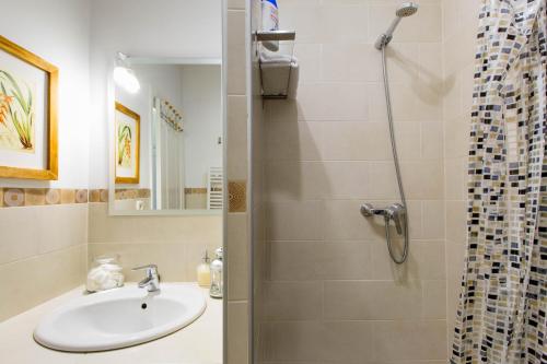 a bathroom with a sink and a shower at Los Ventanales Plaza Mayor in Madrid