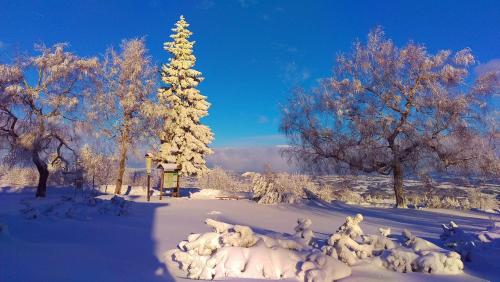 a group of animals in the snow next to a christmas tree at Riegrova Chata Kozákov in Semily