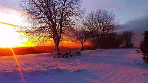 a park with benches in the snow at sunset at Riegrova Chata Kozákov in Semily