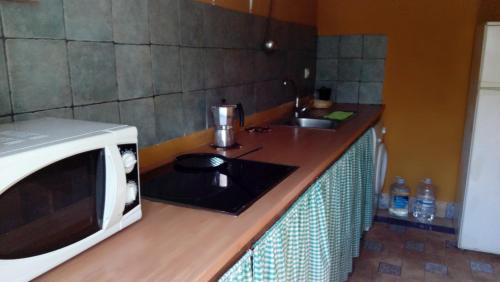 a kitchen counter with a microwave and a sink at Los Duendes in El Puerto de Santa María