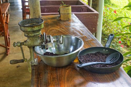 a bowl of coffee on a table next to a mixer at Finca Amistad Cacao Lodge in Bijagua
