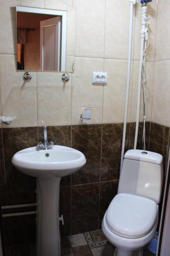 a bathroom with a sink and a toilet and a mirror at Old Halidzor in Halidzor