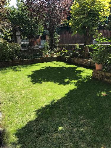 a yard with a shadow of a tree on the grass at Casa Soave B&B in Alba