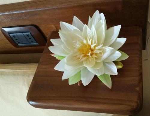 a white flower sitting on top of a wooden table at Civita Nova in Bagnoregio