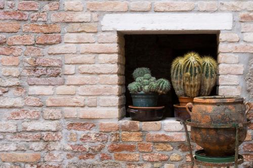 Gambar di galeri bagi B&B Casin dei Nobili di Venice