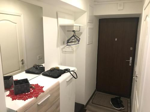 a bathroom with a counter with a mirror and a sink at Fine Apartment in Jelgava