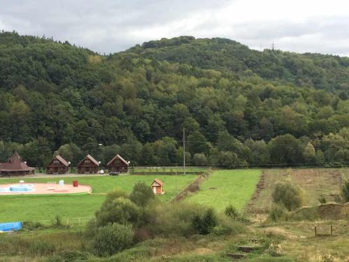 a large green field with houses in front of a mountain at Polyana Apart in Polyana