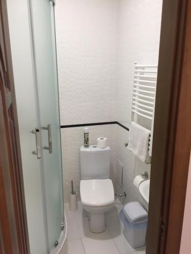 a small bathroom with a toilet and a sink at Polyana Apart in Polyana