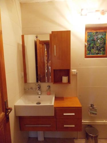 a bathroom with a sink and a mirror at Holiday Home Vile Calimero in Žabljak