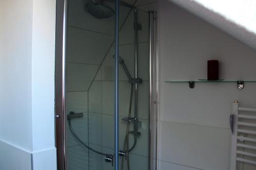 a shower with a glass door in a bathroom at Apartment am Stadtsee in Mölln