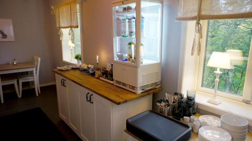 a kitchen with a counter with a refrigerator and a window at Mannflogården Bed & Breakfast , Sälenfjällen in Sälen
