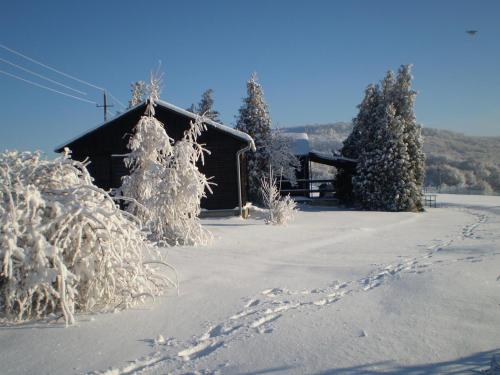 uma cabana com pegadas na neve junto às árvores em KEREKERDO Vendeghazak em Hárskút