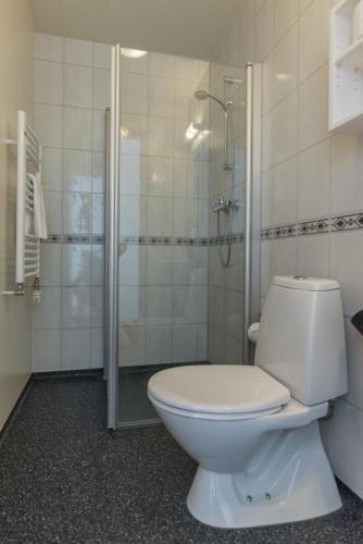 a bathroom with a white toilet and a shower at Guesthouse Brekka in Brekka