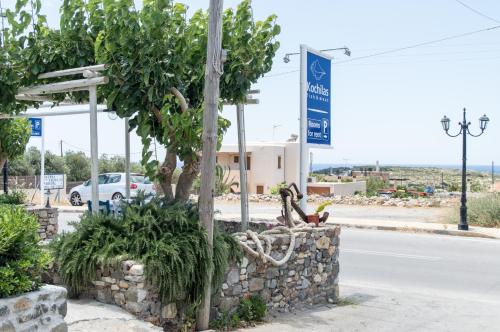 a tree sitting on a stone wall next to a street at Rooms Kochilas Elafonisi in Elafonisi