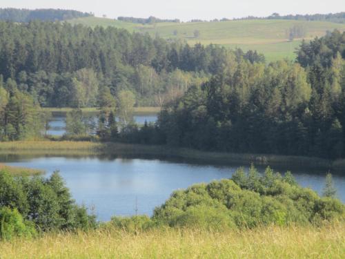 Gallery image of Dworek Telimena in Smolniki