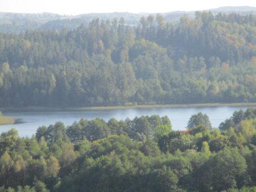 Gallery image of Dworek Telimena in Smolniki