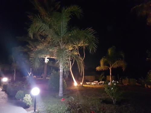 Κήπος έξω από το Eftihia Apartments 