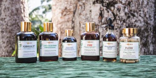 The Source Herbal Detox Retreat – Photos 3