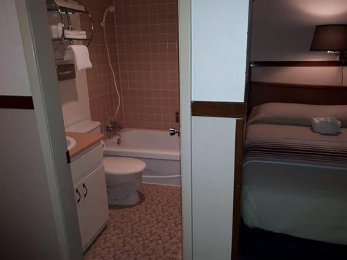 Kylpyhuone majoituspaikassa Falcon Nest Motel