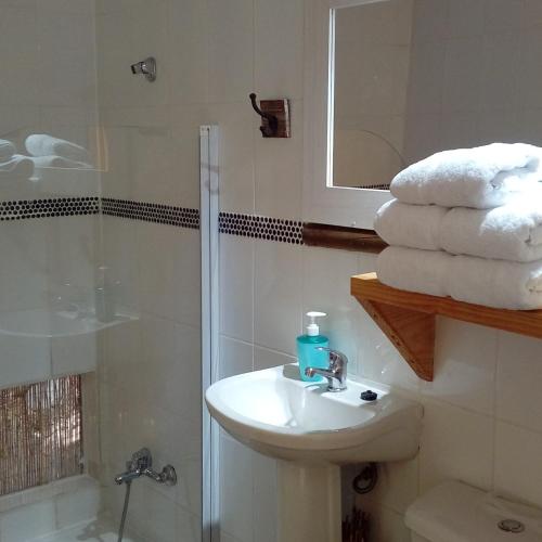 a bathroom with a sink and a shower with towels at Organica Lodge Hotel Boutique in Vicuña