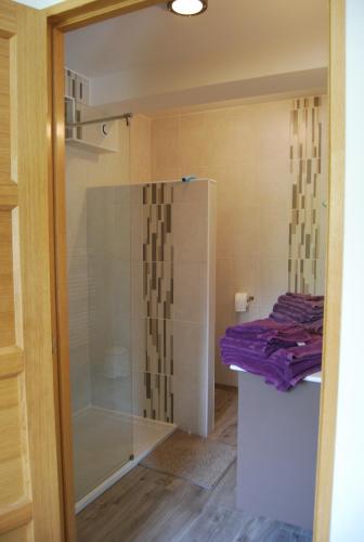 La salle de bains est pourvue d'une douche et d'une douche vitrée. dans l'établissement Le Relais du Hibou, à Vittefleur