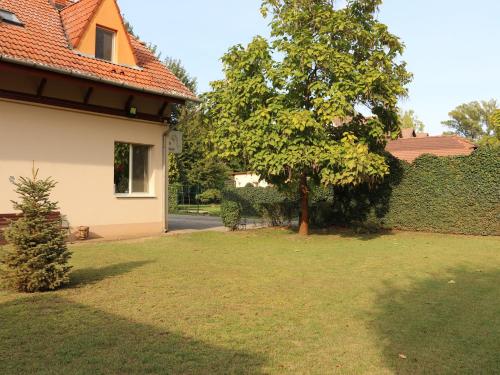 バヤにあるKisviza Vendégházの木と家の庭