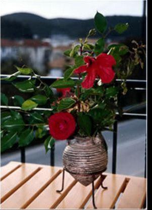 a vase with red flowers sitting on a table at Ionion Hotel in Syvota