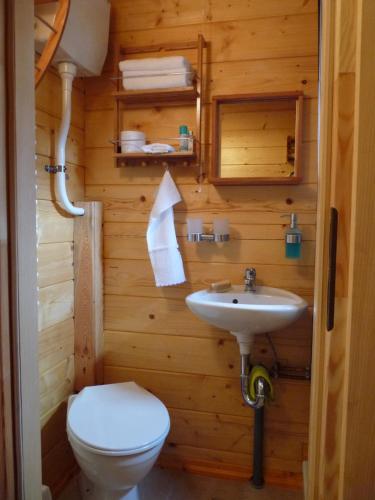 a bathroom with a toilet and a sink at Haus Alwine in Borkheide