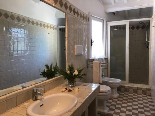 a bathroom with a sink and a toilet at Borgo del Gelso in Olgiata