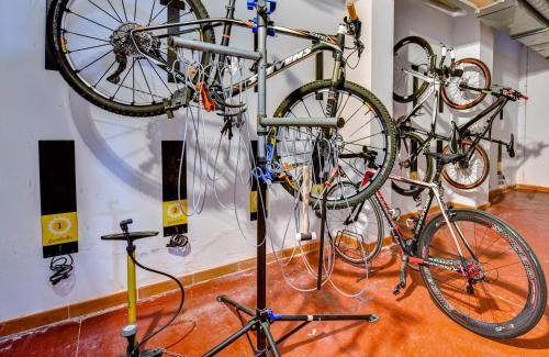 Jízda na kole v ubytování Hotel Spa Villalba nebo okolí
