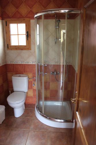 a bathroom with a shower and a toilet at Las Moranas in Valsequillo