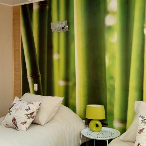 a bedroom with a bed with a green curtain at Organica Lodge Hotel Boutique in Vicuña