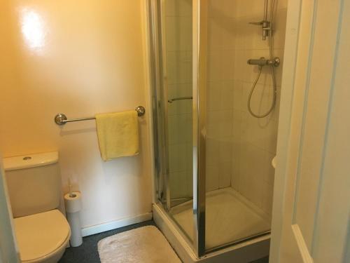 a bathroom with a shower and a toilet at The Bridge View in Runcorn