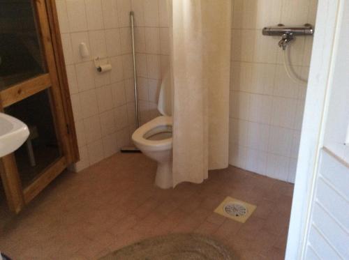 a bathroom with a toilet with a shower curtain at Lomakoli rivi4 in Kolinkylä