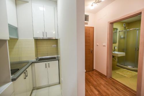 Kuchyň nebo kuchyňský kout v ubytování Yasmin Apartment (Pozega in Serbia)