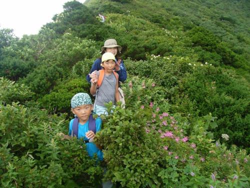 two people standing in a field of plants at Shukubo Kansho-in Temple Sanrakuso in Daisen