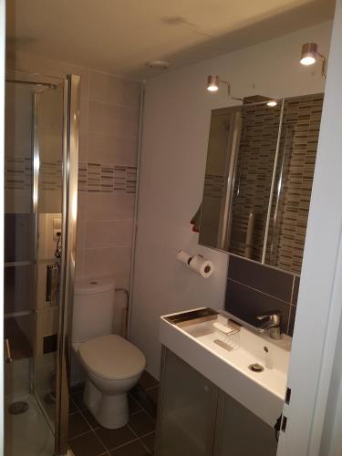 une salle de bain avec toilettes, lavabo et douche dans l'établissement L'EUROSEBASTOPOL, à Strasbourg