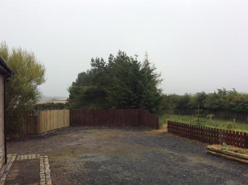a fence in front of a yard with a tree at Rudan Guest House AB53 6UQ in New Deer