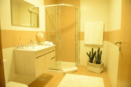 een badkamer met een douche en een wastafel bij AboimHouse in Amarante
