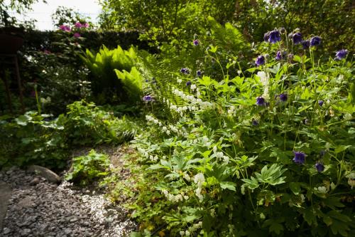a garden with purple flowers and green plants at Hotel Villa Rosa in Allershausen