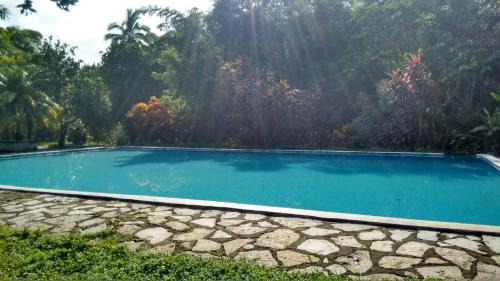 una piscina en medio de un bosque en Plan De Guinea, en Chalzentla